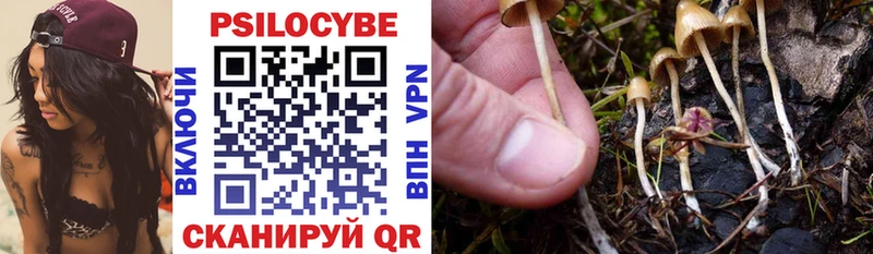 Псилоцибиновые грибы мухоморы Сусуман